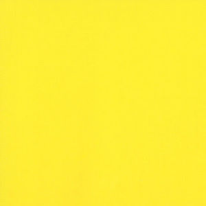 Meet your Posher, Manvitha